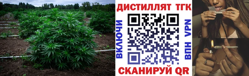 ТГК THC oil Калининград