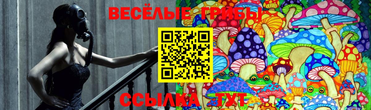 Галлюциногенные грибы Psilocybe  Вход с VPN  Псилоцибиновые грибы Psilocybe  Калининград 